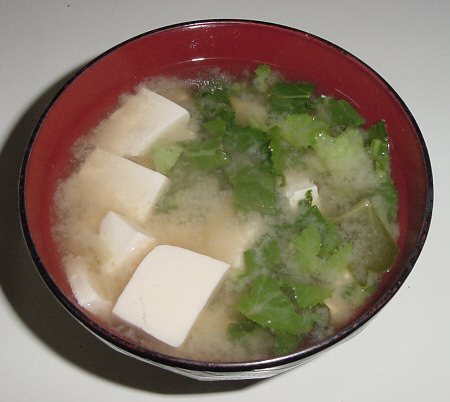 ダイコン菜の間引きでの一騒動