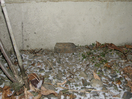 雪をかぶるオオカマキリの墓