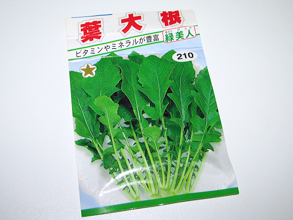 葉大根もベランダ菜園