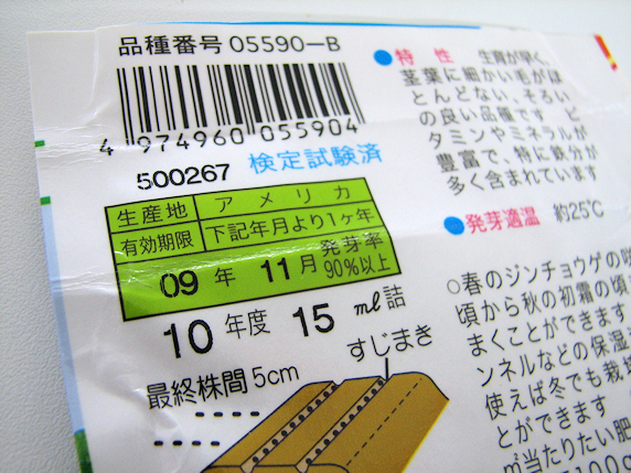 葉大根もベランダ菜園