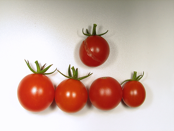 ミニトマト５個収穫