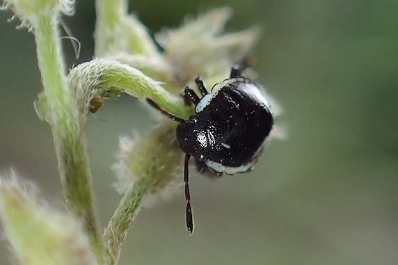 P2040631-1.jpg